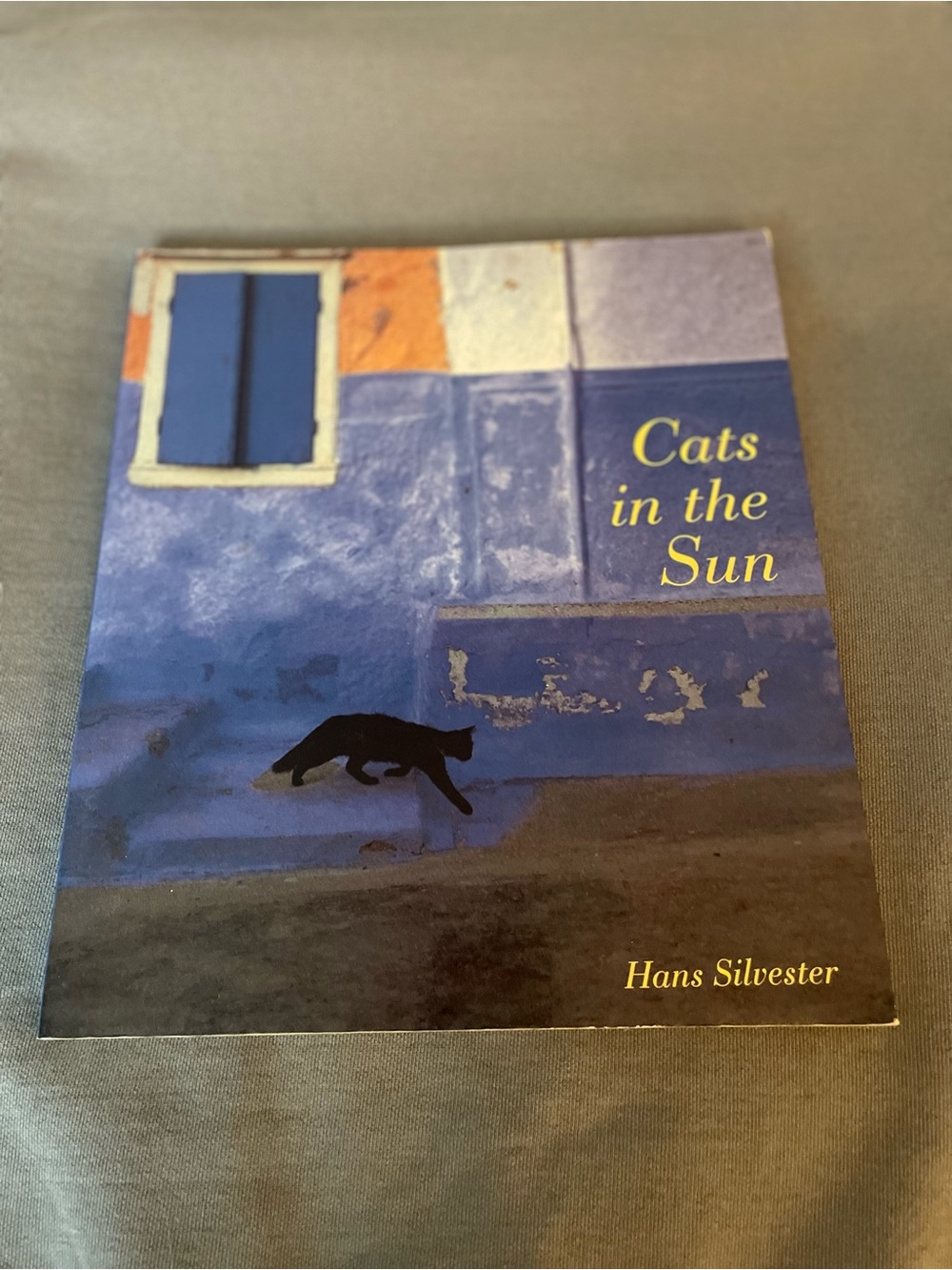 Cats in the Sun - Blue Cover Book by